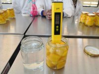 The low pH of the infusion ensures an unsuitable environment for most microorganisms