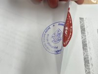 Official seal sample 3