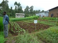 FTA Training Centre for farmers in Ethiopia