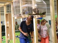 The main attractions of the stall included a horn of the common eland, a part of a Formula car or a specially adjusted nest box from the Birds Online project.
