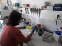 Alejandro Ruiz during laboratory work